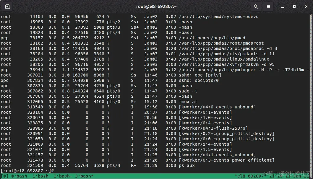 图 4.7 - ps aux 命令的输出（系统中的每个进程）