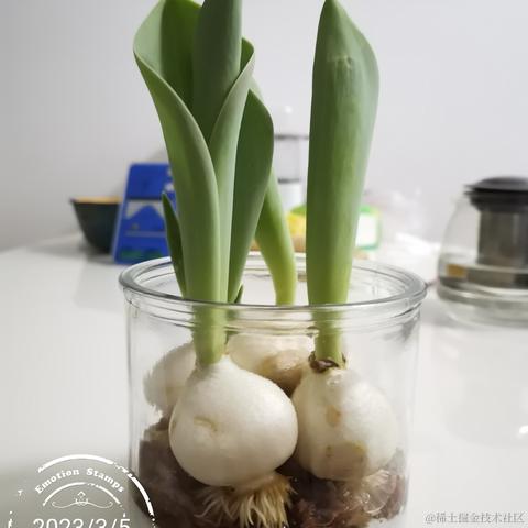 老柴不加班于2023-03-09 13:35发布的图片