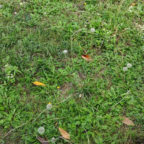 贝拉今天打什么于2022-11-27 21:22发布的图片