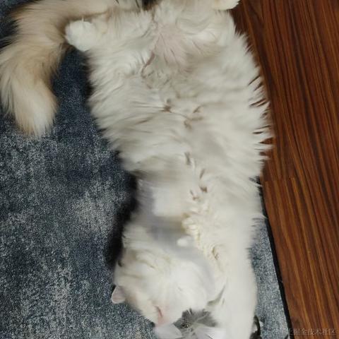 墨璃人于2022-11-26 21:26发布的图片