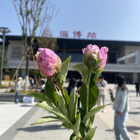 不是厨师于2023-05-17 22:39发布的图片