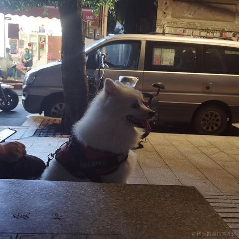 飞鸟与林于2021-09-06 18:54发布的图片