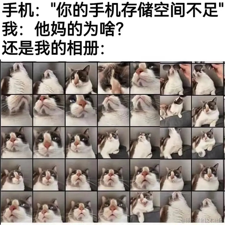 好奇派对于2023-06-23 16:59发布的图片