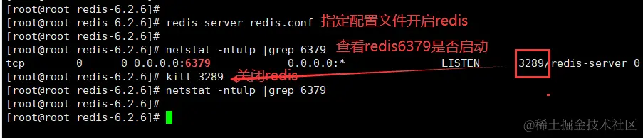 image-20220922080845993