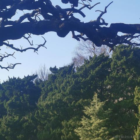 干饭阿澄于2023-04-12 16:37发布的图片