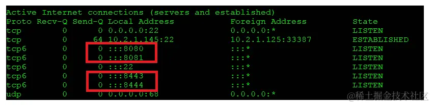 图 3.26 – 主机 netstat 显示分配的四个 NGINX 端口
