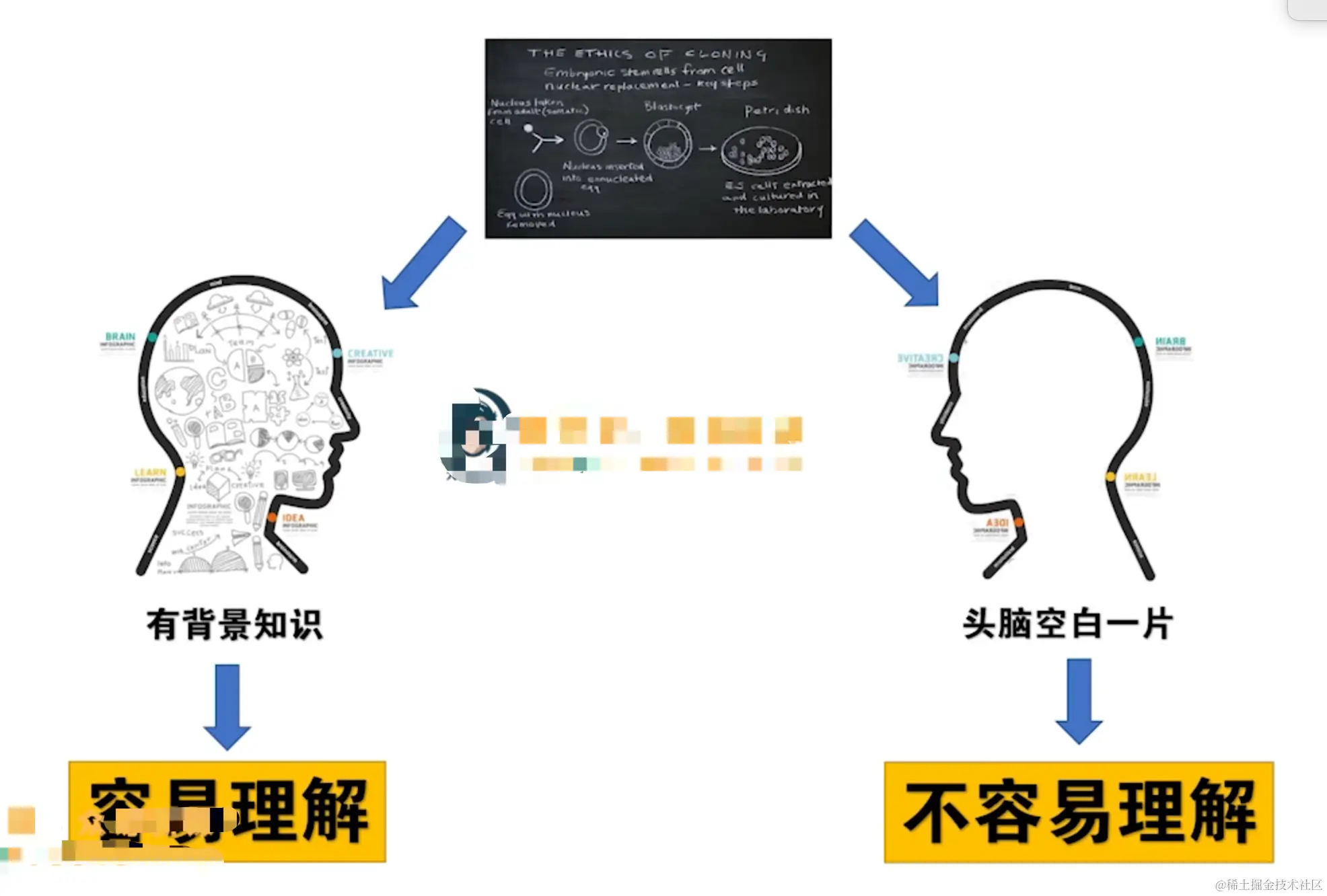 image-20220221145222468