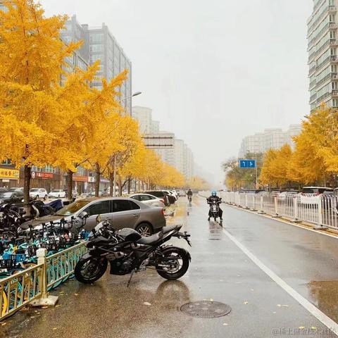 OneDay1S于2020-11-19 15:21发布的图片