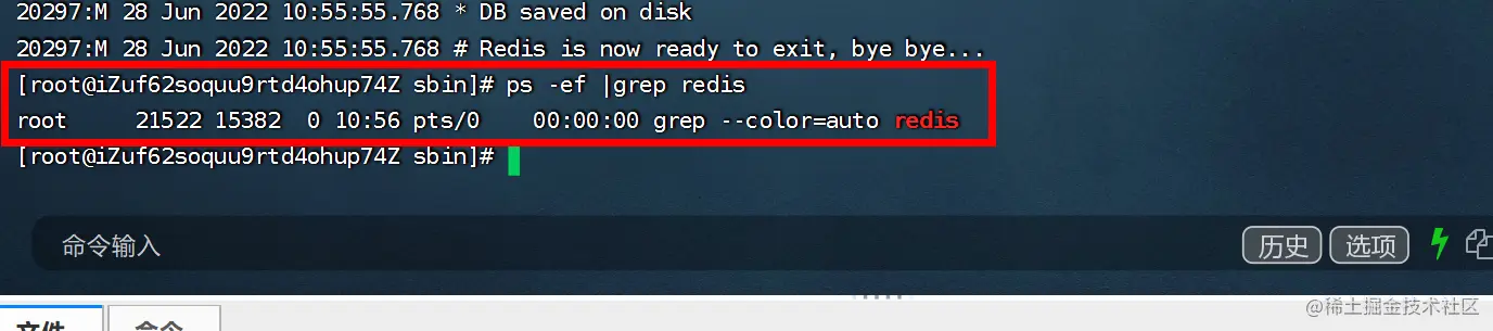 image-20220628105631025