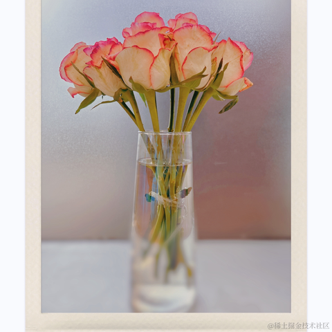 红毛丹于2022-04-29 21:15发布的图片