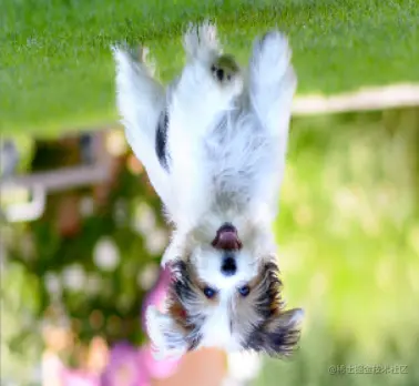 OpenCV Python cv2.rotate() Example Rotate Image 180