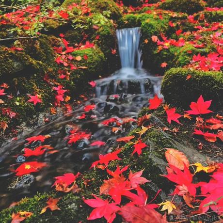 西红柿盖饭于2022-11-28 00:29发布的图片