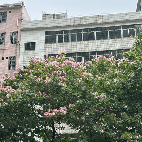 乐扣乐扣于2022-11-25 10:28发布的图片