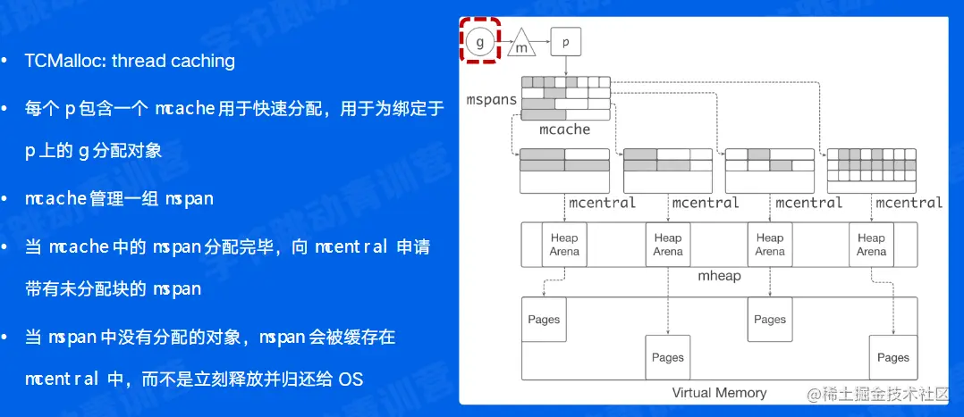 image-20220602201539469