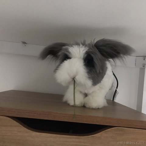 陇锦于2021-04-01 15:58发布的图片