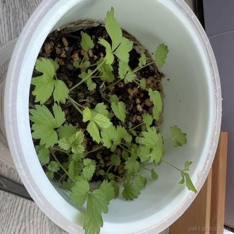 vaelcy于2022-07-20 10:26发布的图片