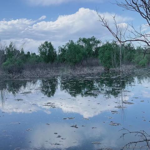 皮卡丘的哥哥皮球于2023-05-24 09:24发布的图片