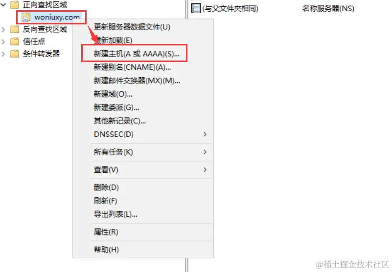 image-20240311154452789