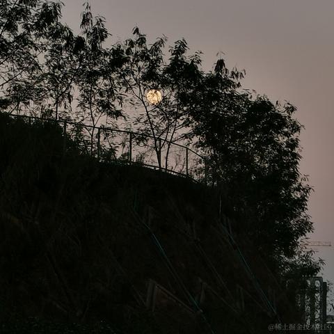 一般通过修伞er于2022-12-07 18:03发布的图片