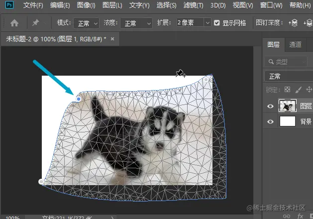 image-20210410103920183