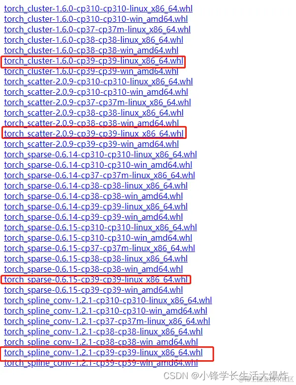  torch sparse torch cluster torch scatter torch spline 