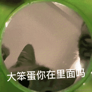 Moluuu于2020-11-24 12:15发布的图片