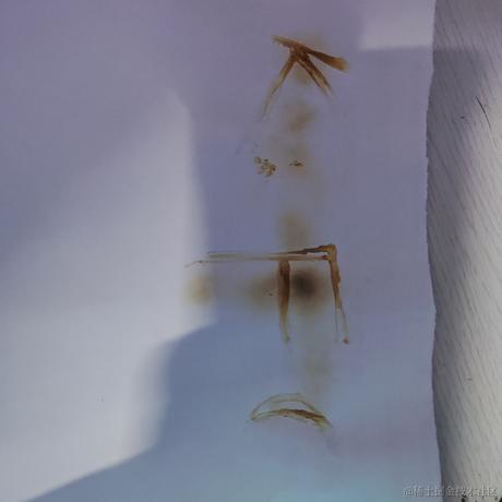 Dianazusa于2022-11-27 08:51发布的图片