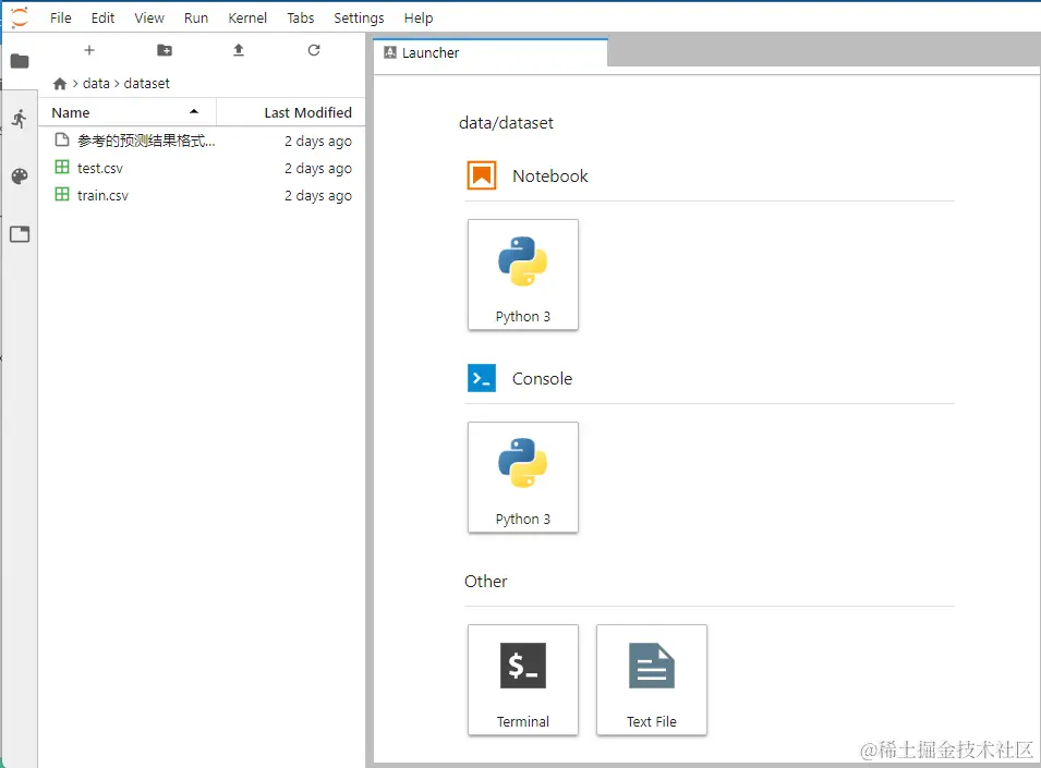 JupyterLab 界面展示