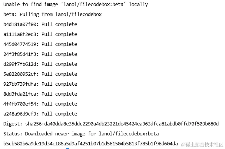 image-20240610160223012