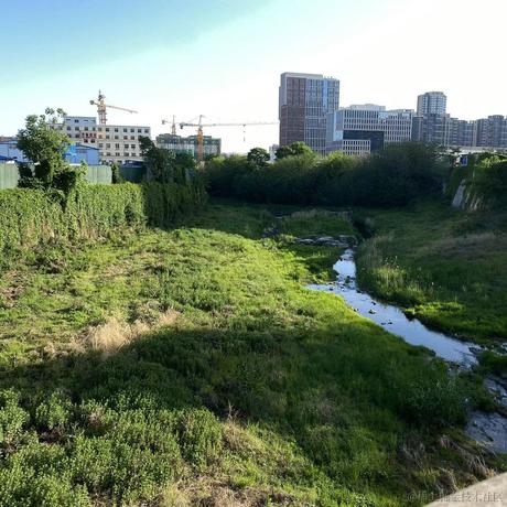 悔不该杀那华佗吆于2023-05-29 22:34发布的图片