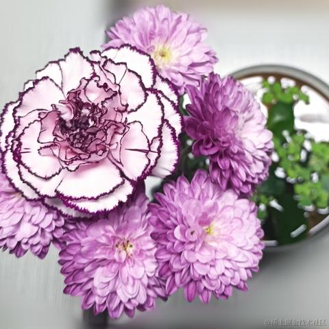 加盐于2022-11-13 17:21发布的图片