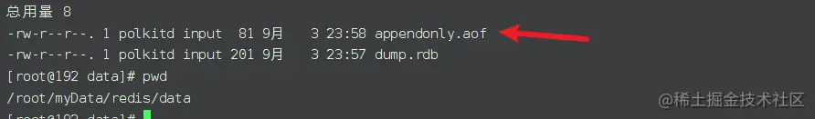 image-20220903155922529