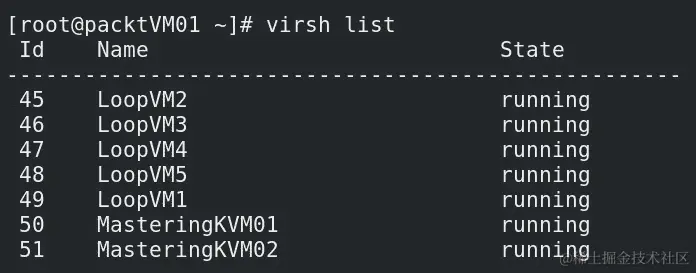 图 3.9 - 使用 virsh list 命令