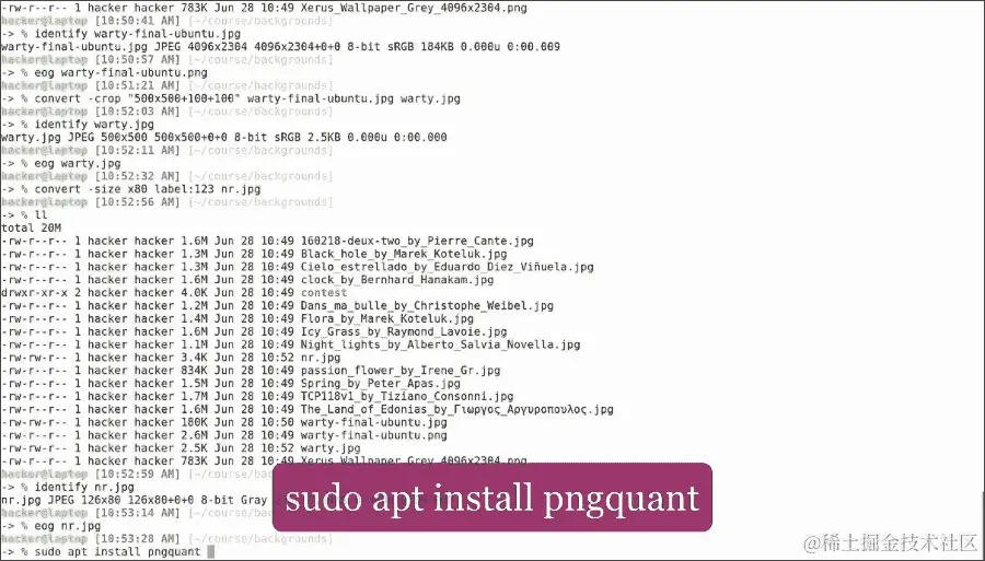 缩小咒语和其他 ImageMagick