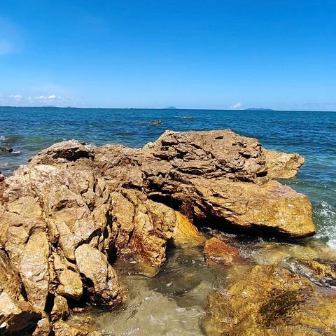 XO于2022-07-13 12:13发布的图片