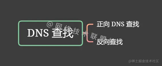 DNS 两种查找