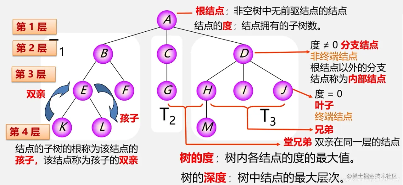 树的基本概念和术语
