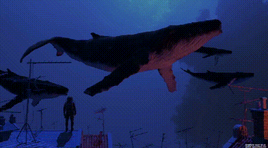 《Whale Rider》 - 瑞云渲染