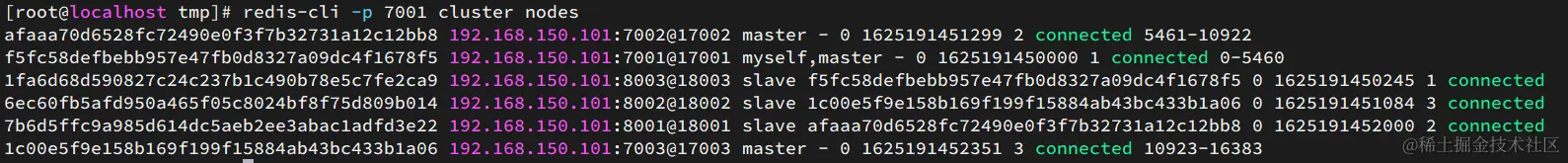 image-20210702181922809