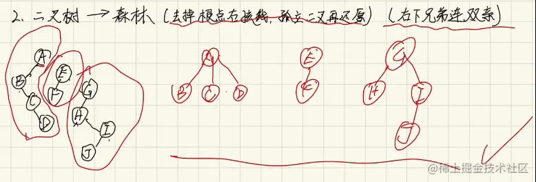 二叉树转森林.png
