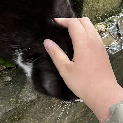 喵桑阿里嘎多版于2023-04-07 22:58发布的图片