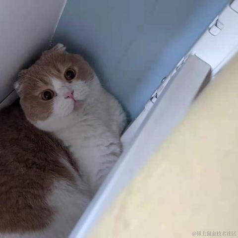 已注销于2021-04-21 08:44发布的图片