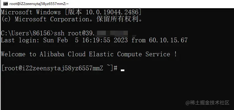 image-20230205172210752