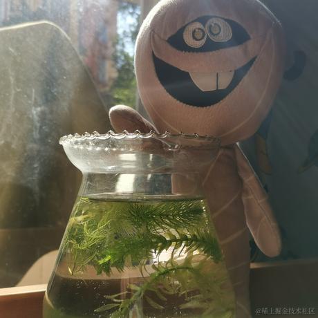 李小政935于2022-12-01 08:04发布的图片