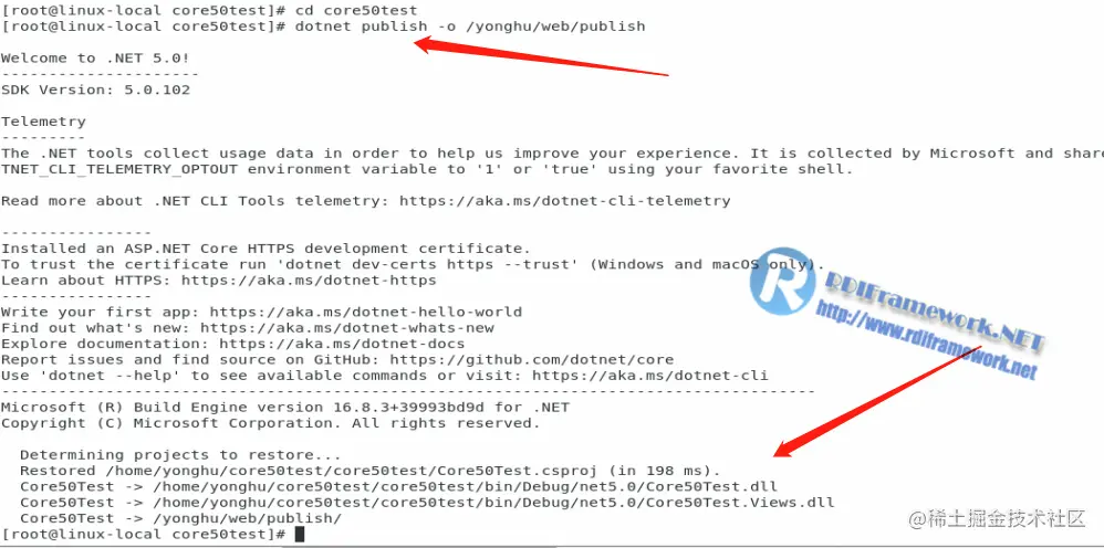 image-20210113164049764