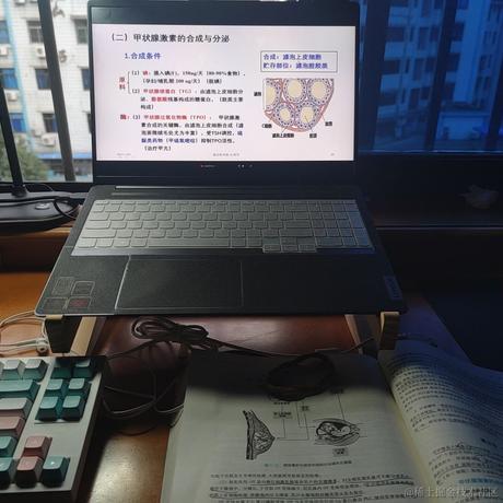 纯良贝极星于2022-12-09 15:03发布的图片