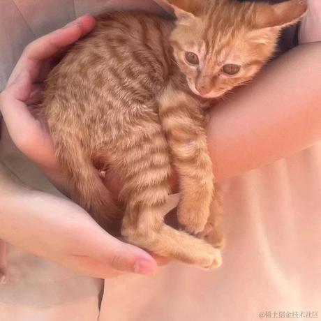 嘉奕晚于2022-11-18 00:10发布的图片