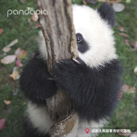 秉烛夜游于2021-09-30 09:06发布的图片