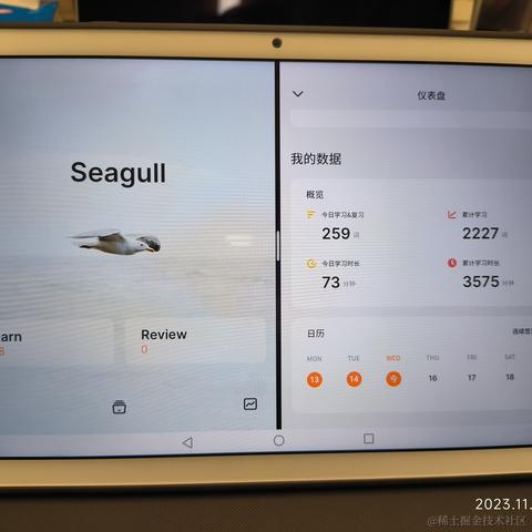 废喵喵呜于2023-11-16 12:53发布的图片