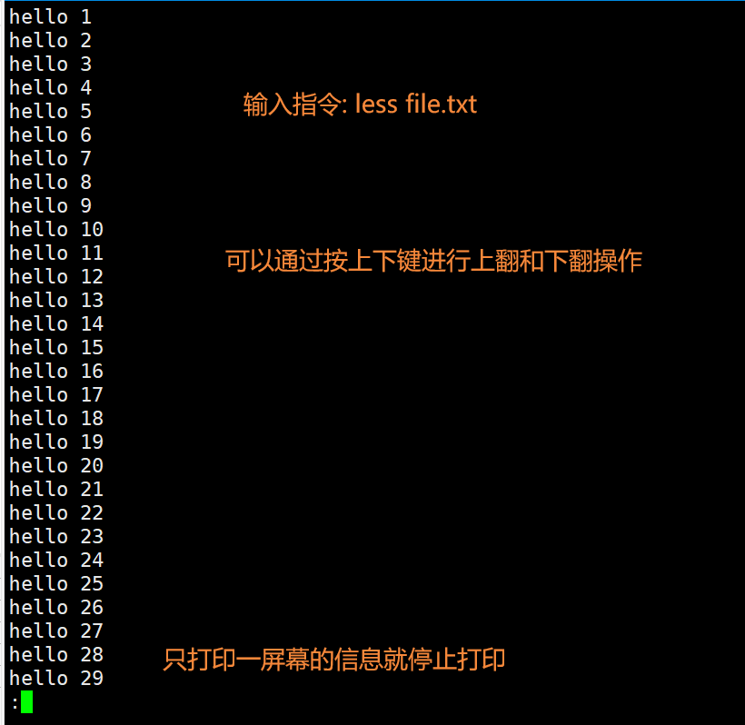 image-20220227102110633